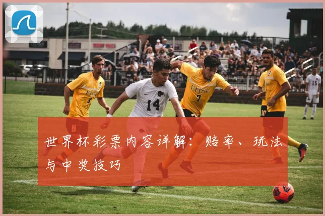 世界杯彩票内容详解：赔率、玩法与中奖技巧